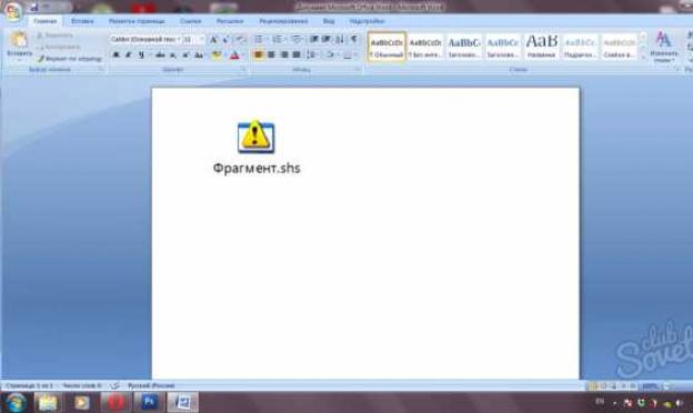 Opening the SHS extension file using Word and Excel